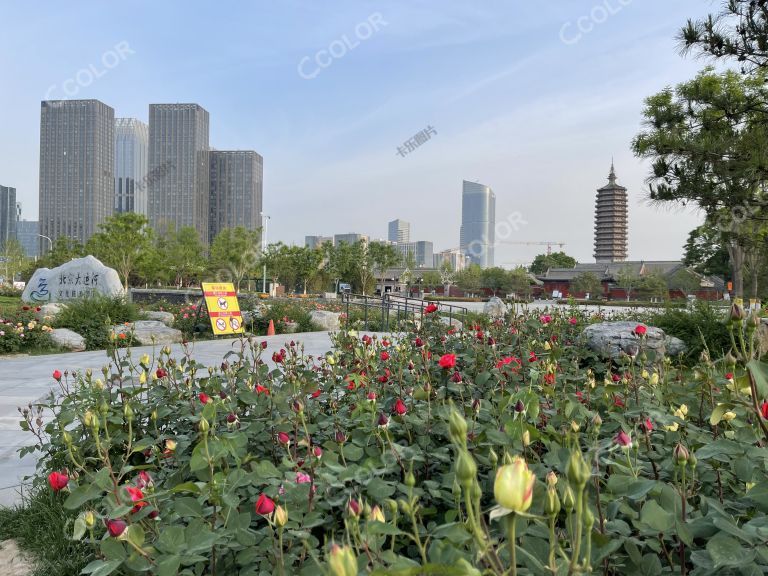 北京城市副中心，大运河文化旅游景区